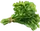 HO KipStudy Cilantro-icon
