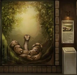 Boa constrictor du zoo