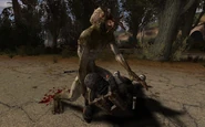 Marsh bloodsucker