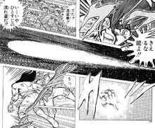 Seiya Shiryu corazón