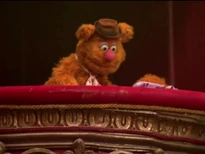 Box Fozzie M11