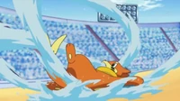 EP655 Buizel usando Contraescudo