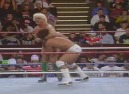 Battle Royal 1991.9
