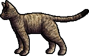 Leafstar.rogue