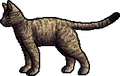 Leafstar.rogue