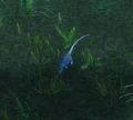 BlackRatWP.jpg