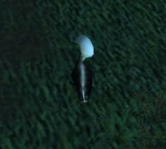 SkunkWP