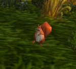 SquirrelWP
