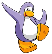 Lavender p