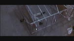 Sheldondeath