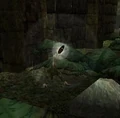 Howler howling.jpg