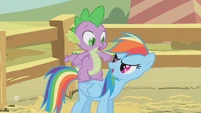 Rainbow Dash "Ready for another pony ride?" S1E13