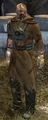 NPC Volos.jpg