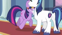 Twilight bumping into Shining Armor S2E25
