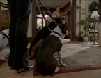 6x01-11