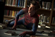 Library Spidey