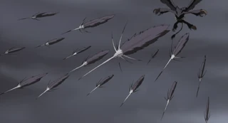 Feathers1