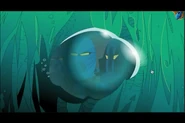 MNOG Trapped