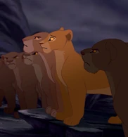 LionessesandNala