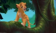 Lion3-disneyscreencaps com-4936
