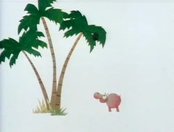 Hippo coconut