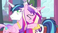 Princess Cadance embrace Shining Armor S2E26