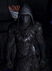Nightingale armor-220x300