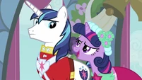 Twilight talking to Shining Armor S2E26