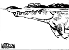Crocodile 2