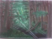 Melancholy woods