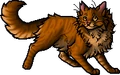 Lionblaze.apprentice.alt