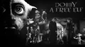 Dobbyafreeelf.jpg