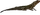 FTD CKiln-Image 163