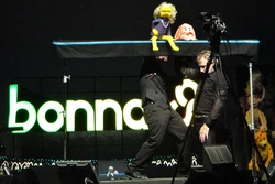 Bonnaroo.jpg
