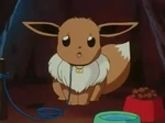Eevee Tree