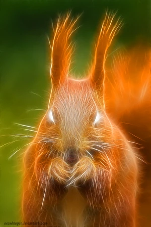 Ratatosk