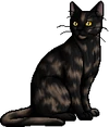 Mothpelt.warrior