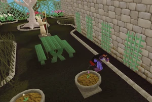 Garden of Tranquillity