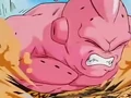 Dbz248(for dbzf.ten.lt) 20120503-18310225