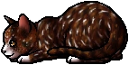 Spottedpelt.kit.png
