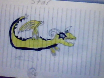 Star dragon
