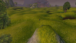 WildPlains