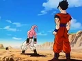 Dbz249(for dbzf.ten.lt) 20120505-11560792