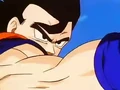 Dbz249(for dbzf.ten.lt) 20120505-11565933