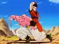Dbz249(for dbzf.ten.lt) 20120505-11572523
