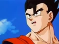 Dbz249(for dbzf.ten.lt) 20120505-11575431