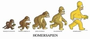 Simpsons evolution