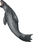 PraluvenSealAdult.gif