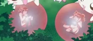 Ayu and Mayu heartflower has been taken