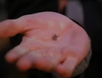6x18-10